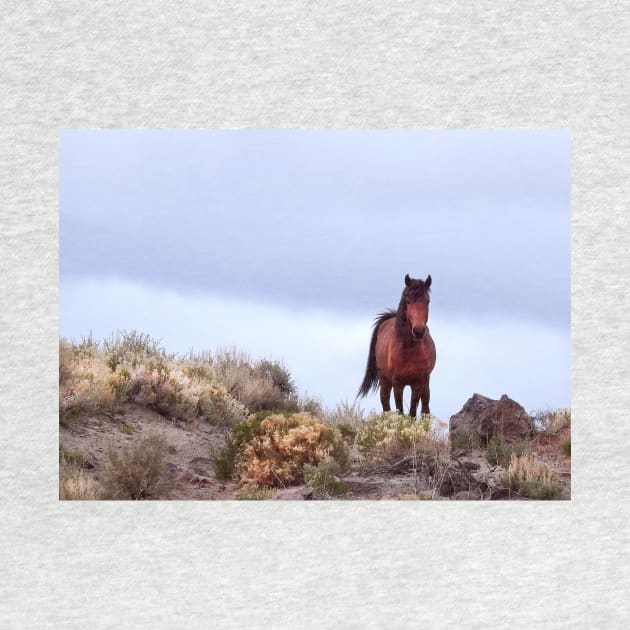 Wild Horses, Mustangs, Western Knight by sandyo2ly